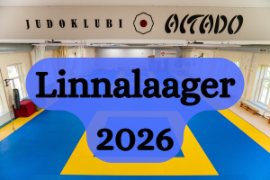 Linnalaager cover